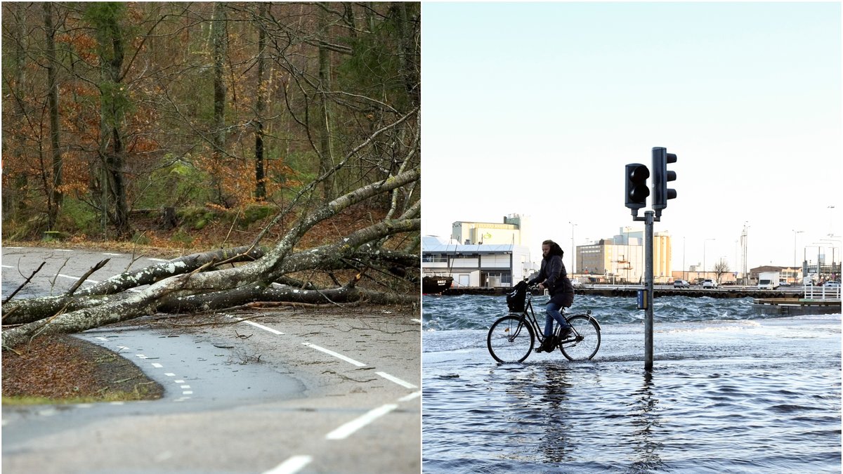 Sverige har sett otaliga stormar och oväder genom åren.